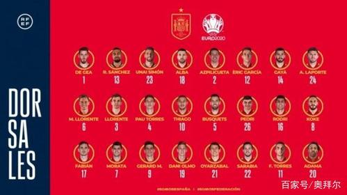 女篮欧洲杯西班牙球员名单（西班牙女篮wnba球员）